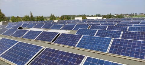 Quelles actions pour l'écologie ?