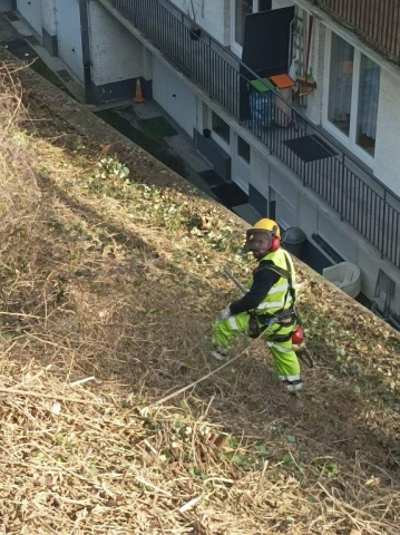 Débroussaillage à la Citadelle de Namur ! 